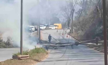 Queda de árvore derruba motociclista e poste na MG-030, em Nova Lima - Foto: Reprodução/Redes Sociais