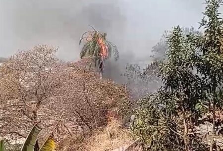 Incêndio em vegetação assusta moradores no bairro Jardim Vitória, em BH - Foto: Divulgação/CBMMG