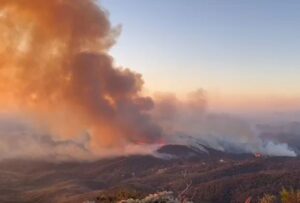 Incêndio de grandes proporções destrói mata da Serra da Piedade, na Grande BH - Foto: Divulgação/CBMMG