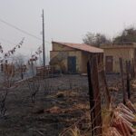 Incêndio em mata ameaça Hospital da Baleia, em BH - Foto: Divulgação/CBMMG