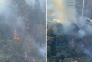 Incêndio se alastra e ameaça prédios de luxo no Vale do Sereno, em Nova Lima - Foto: Divulgação/CBMMG