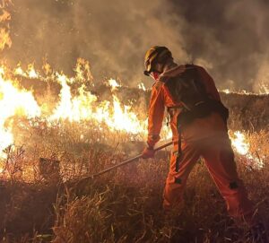 Irmãos morrem carbonizados durante combate a incêndio em Pedra do Anta (MG) - Foto: Divulgação/CBMMG