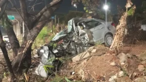 Carro bate em poste, pega fogo e motorista morre na Via Expressa de Contagem - Foto: Divulgação