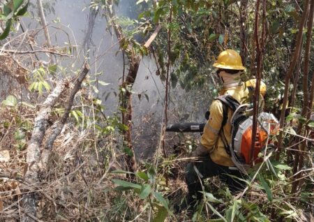 Incêndio de grandes proporções atinge Serra da Moeda - Foto: Divulgação/CBMMG