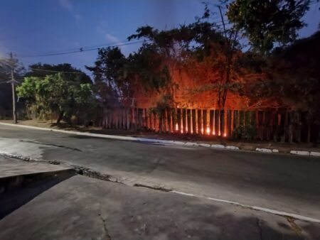 Incêndio atinge área de vegetação no bairro Três Barras, em Contagem - Foto: Divulgação/CBMMG