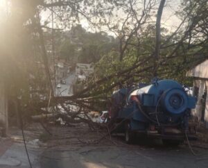 Árvore cai em cima de carro no bairro Ouro Preto, em BH - Foto: Divulgação/CBMMG