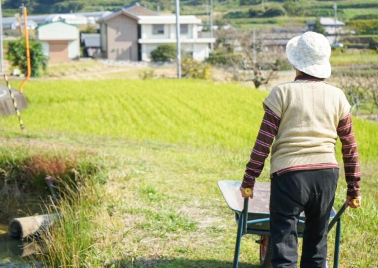 Selo Biocombustível Social impulsiona mulheres rurais