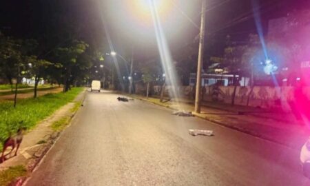 Motociclista morre após colisão contra poste na Avenida Vilarinho, em BH - Foto: Divulgação/PMMG