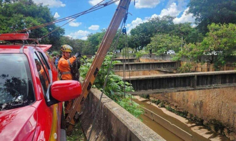 Mulher cai dentro do Ribeirão Arrudas, em BH - Foto: Divulgação/Corpo de Bombeiros