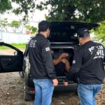 Atleticano suspeito de ferir fotógrafo com bomba vai responder por tentativa de homicídio - Foto: Divulgação/PCMG