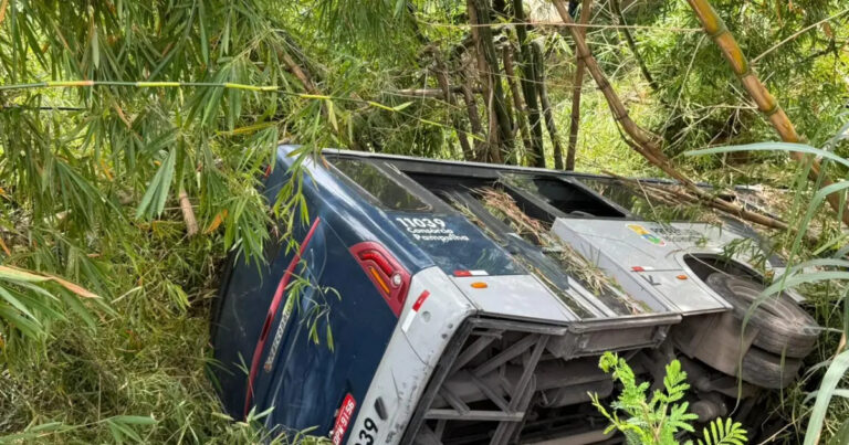 Ônibus capota e cai em ribanceira na bairro Jaqueline, em BH - Foto: Reprodução/Redes Sociais