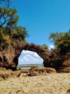 Gestão nova de Ilhéus propõe apoio ao turismo sustentável na cidade