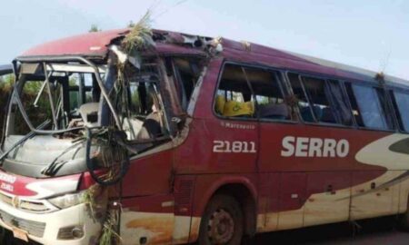 Acidente com ônibus deixa 11 feridos na MG-010, em Serro - Foto: Divulgação/ PMRv