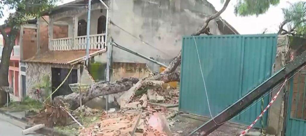 Árvore cai sobre muro e deixa família desalojada no Barreiro - Foto: Reprodução/TV Globo