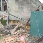 Árvore cai sobre muro e deixa família desalojada no Barreiro - Foto: Reprodução/TV Globo