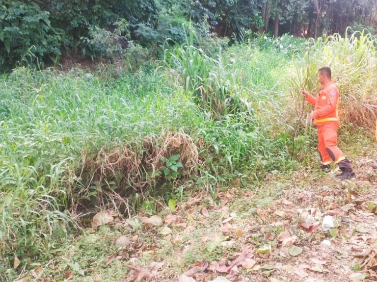 Corpo de homem é encontrado em lagoa do Parque Guilherme Lage, em BH - Foto: Divulgação/CBMMG