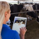 Elanco cresce pelo sexto trimestre consecutivo em 2024