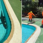 Jacaré é encontrado dentro de piscina de clube em São Francisco (MG) - Foto: Divulgação/CBMMG