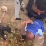 Policial militar salva bebê de 26 dias engasgado com leite em Vazante - Foto: Divulgação/PMMG