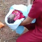 Recém-nascido tem orelha e pé arrancados por animal após ser abandonado em Capelinha (MG) - Foto: Reprodução/Redes Sociais