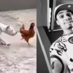 Justiça manda soltar influenciador preso por maus-tratos contra animais - Foto: Reprodução/Redes Sociais