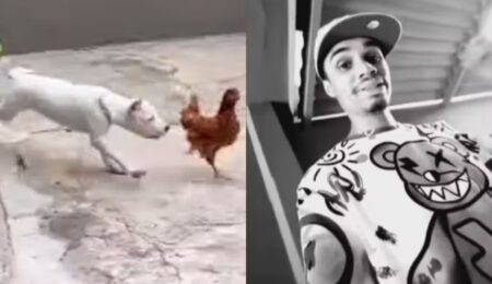 Justiça manda soltar influenciador preso por maus-tratos contra animais - Foto: Reprodução/Redes Sociais