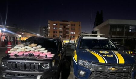 Motorista é preso com 26 barras de maconha e arma durante fiscalização na BR-040, em Minas Gerais - Foto: Divulgação/PRF