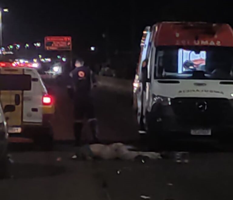 Homem morre atropelado em acidente no Anel Rodoviário, em BH - Foto: Reprodução/Redes Sociais