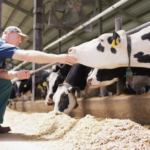 Elanco supera expectativas no 1º trimestre de 2025