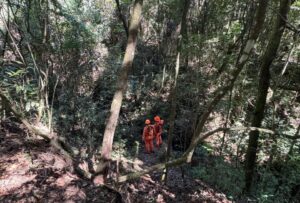 Bombeiros encontram homem que se perdeu no Parque das Mangabeiras, em BH - Foto: Divulgação/CBMMG