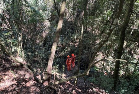Bombeiros encontram homem que se perdeu no Parque das Mangabeiras, em BH - Foto: Divulgação/CBMMG