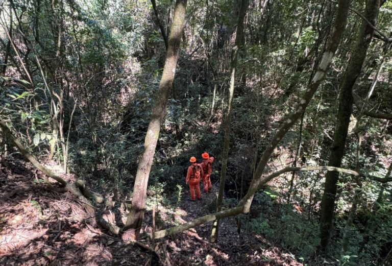 Bombeiros encontram homem que se perdeu no Parque das Mangabeiras, em BH - Foto: Divulgação/CBMMG