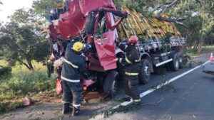 Caminhoneiro morre após bater em árvore na BR-135, em Engenheiro Navarro - Foto: Divulgação/Corpo de Bombeiros