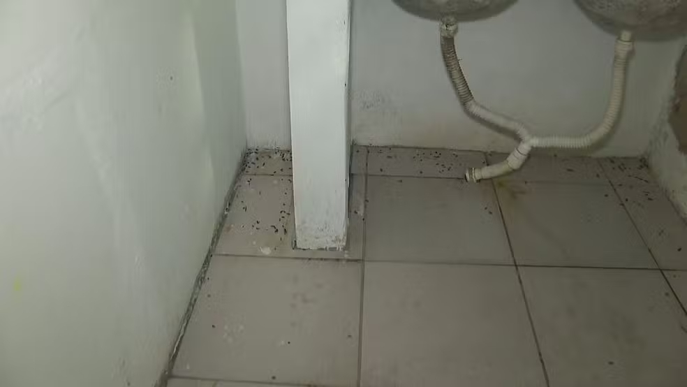 Fiscalização encontra condições insalubres e maus-tratos em lar de idosos na Grande BH - Foto: Reprodução/TV Globo