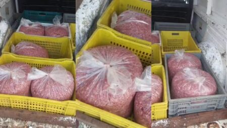 Guarda Municipal apreende 140 kg de carne estragada em veículo em BH - Foto: Divulgação/GCM-BH