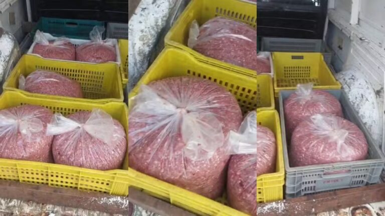Guarda Municipal apreende 140 kg de carne estragada em veículo em BH - Foto: Divulgação/GCM-BH