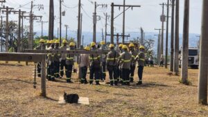 Cemig lança concurso para eletricista com 150 vagas - Foto: Cemig/Divulgação