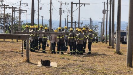 Cemig lança concurso para eletricista com 150 vagas - Foto: Cemig/Divulgação