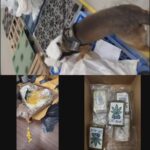 Polícia desmantela esquema de tráfico de drogas voltado para alunos de escola em BH - Foto: Divulgação/Receita Federal