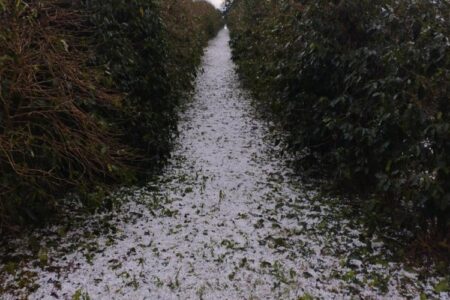 image 750x500 6888e2a216135 lTbQlg