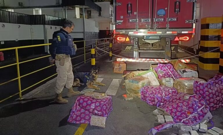 PRF apreende 400 kg de maconha escondidos em carga de carne na BR-262, em Juatuba - Foto: Divulgação/PRF
