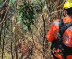 Homem e cão são resgatados após cair de barranco de 10 metros em parque de BH - Foto: Divulgação/CBMMG