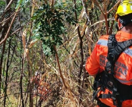 Homem e cão são resgatados após cair de barranco de 10 metros em parque de BH - Foto: Divulgação/CBMMG