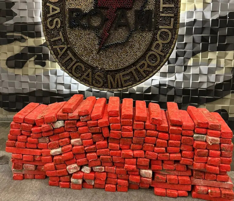 PM apreende 300 kg de maconha em imóvel rural de Nova Lima - Foto: Divulgação/PMMG