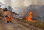 Incêndio atinge Parque Estadual Serra Verde, em BH - Foto: Divulgação/CBMMG
