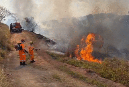 Incêndio atinge Parque Estadual Serra Verde, em BH - Foto: Divulgação/CBMMG