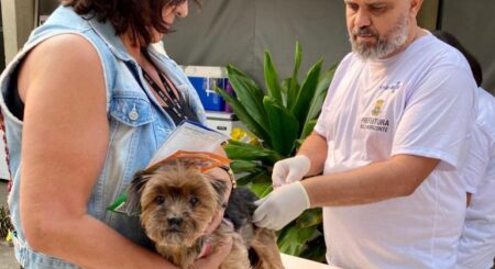 Campanha Antirrábica em BH: confira os locais de vacinação neste sábado (23) - Foto: Divulgação/PBH