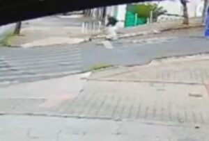 Ciclista morre atropelado por ônibus em Contagem - Foto: Reprodução