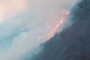 Fogo atinge vegetação no Parque Estadual Serra Verde, em BH - Foto: Reprodução/Redes Sociais