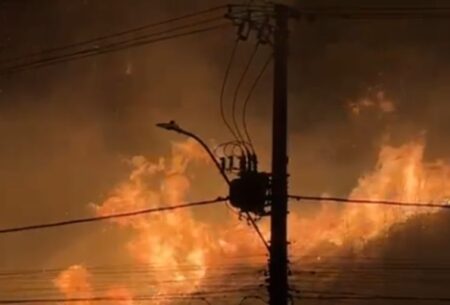 Incêndio atinge área de mata no bairro Cabral, em Contagem - Foto: Divulgação/CBMMG